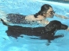 hp-jo-loulou-schwimmen
