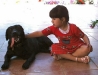 hp-liza-loulou