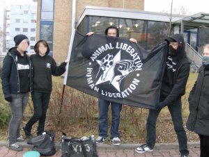 Bild6-300