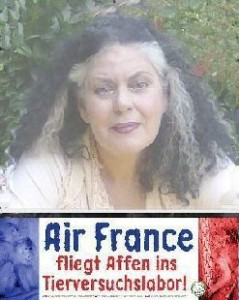 DemoAirFrance-2